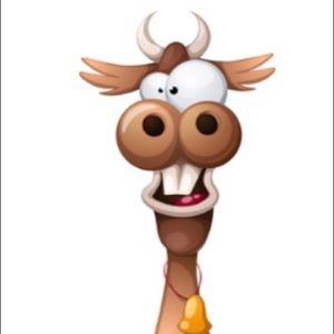 Meet your Posher, Kevin